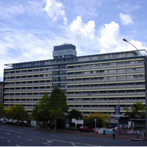 Bledisloe Building